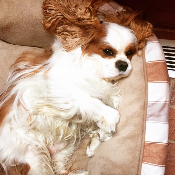 Meet your Posher, Jeff - Picture 4 of 8